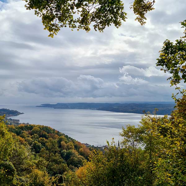 Projektkommunikation mit PR-Agentur Carta