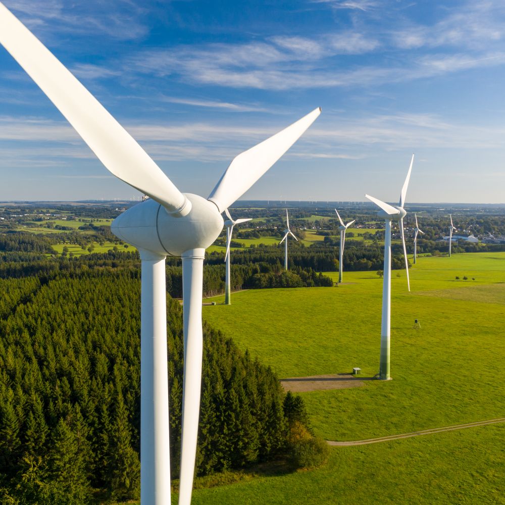 Bürgerkommunikation Windkraft RLP